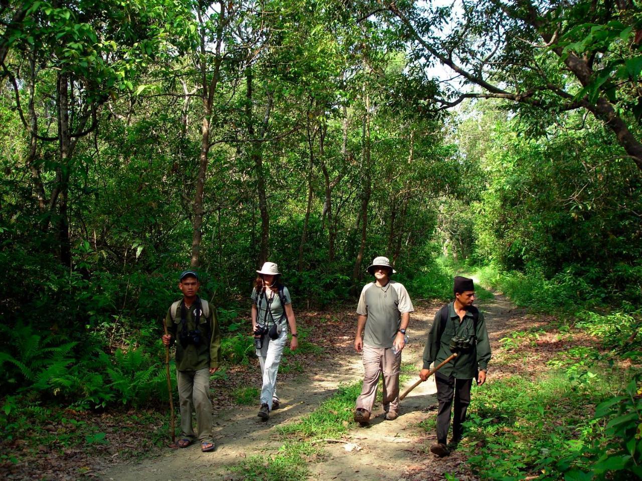 Park Safari Resort Sauraha Bagian luar foto