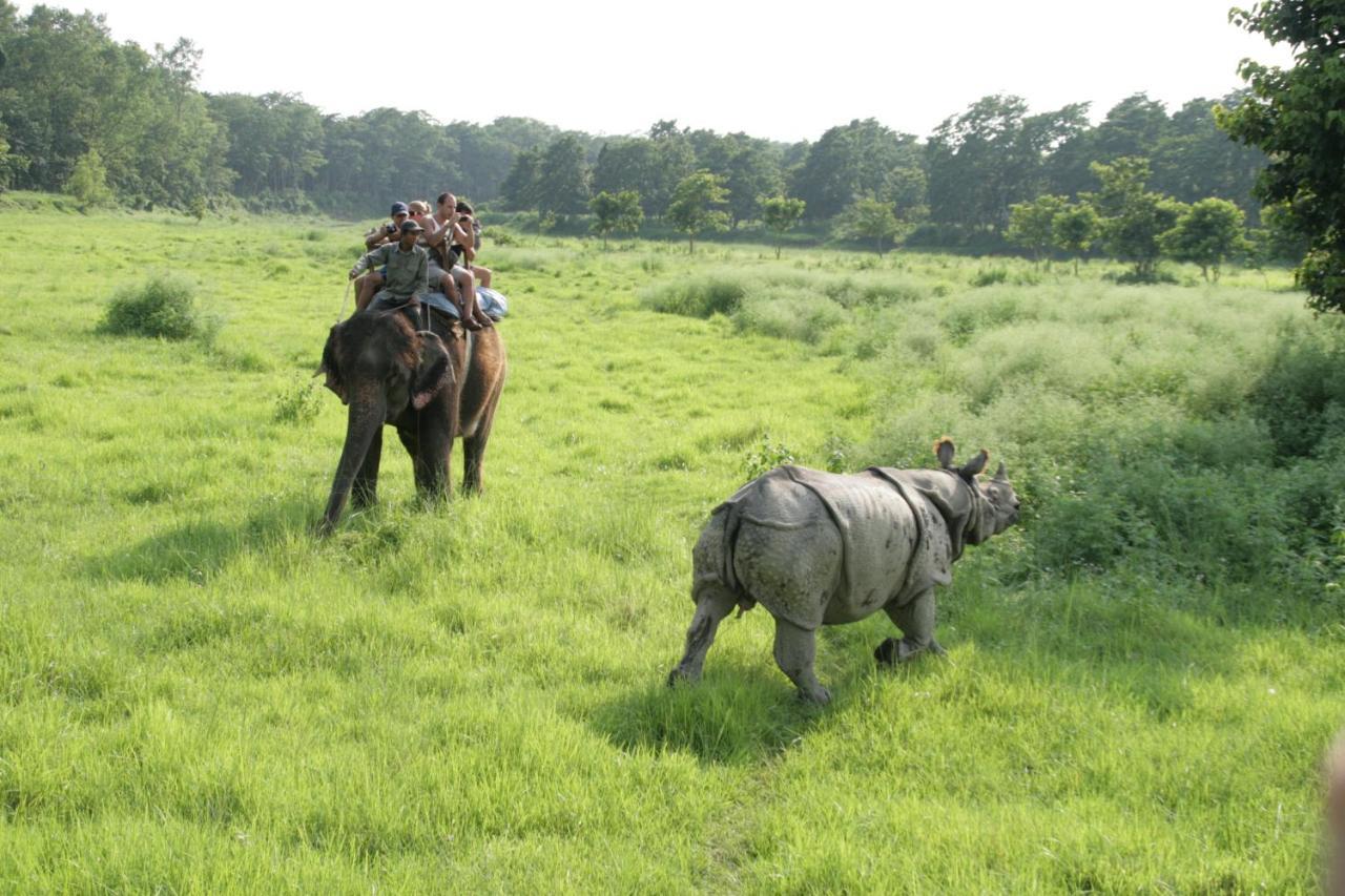 Park Safari Resort Sauraha Bagian luar foto